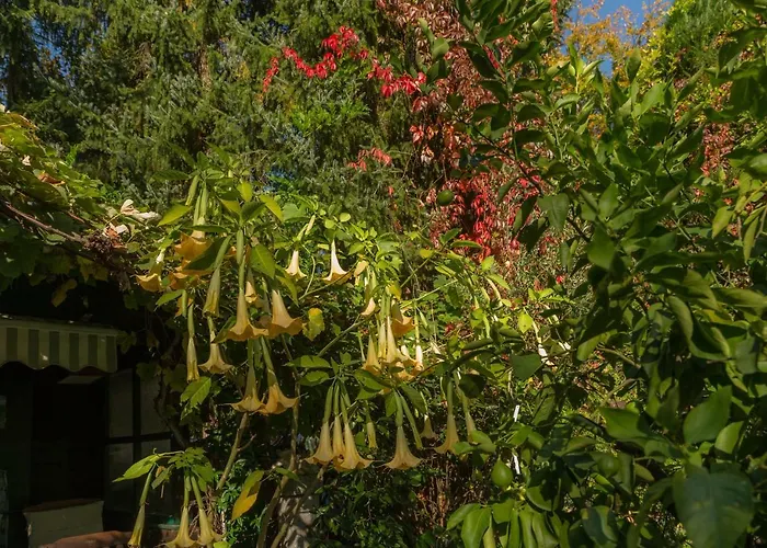 Maxglan شقة سالزبورغ