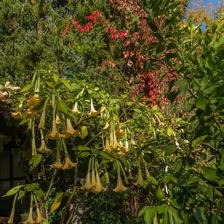 Maxglan Appartamento Salisburgo