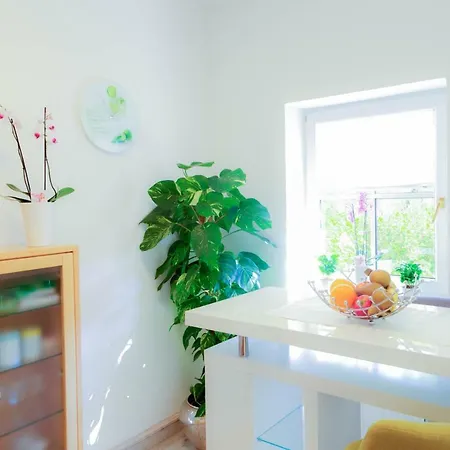 Appartamento Maxglan Salisburgo