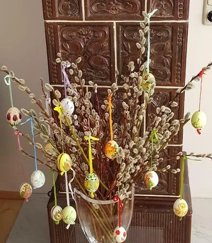 Apartament Maxglan *