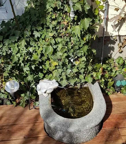 Apartament Maxglan *